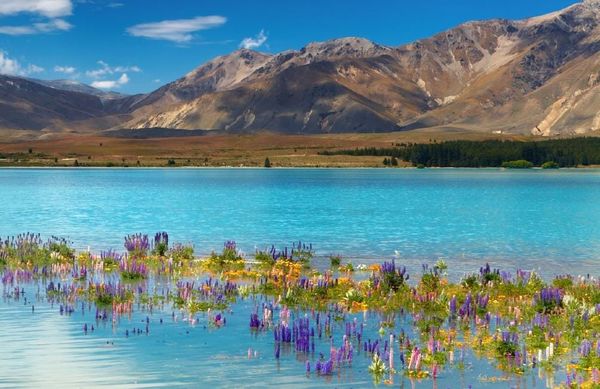 Dépenser plus pour nos hôpitaux aiderait-il à combattre le COVID ?