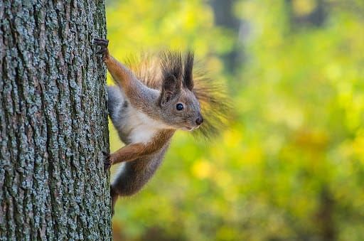 Le livret A ne conserve plus votre pouvoir d’achat. Que faire ?