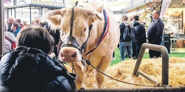 Mais qui peut bien détrousser les classes moyennes ?