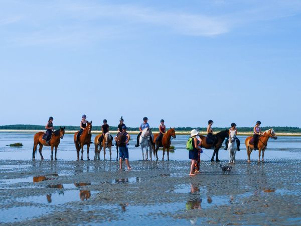 Journal d’ivermectine : tiens, le COVID existe vraiment !