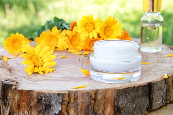 Le calendula : une plante médicinale aux nombreux bienfaits sur la santé !