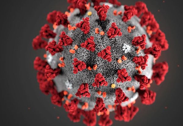 Ce sont des scientifiques qui le disent: enrhumez-vous ! Vous serez mieux protégés contre le COVID-19!