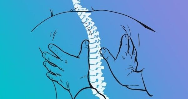 La chiropraxie : réglementation, formation professionnelle, remboursement (2e partie)