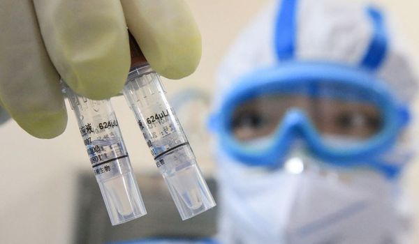 Origines du Covid : malgré les menaces de mort, Alina Chan réaffirme l’hypothèse d’une origine artificielle du virus