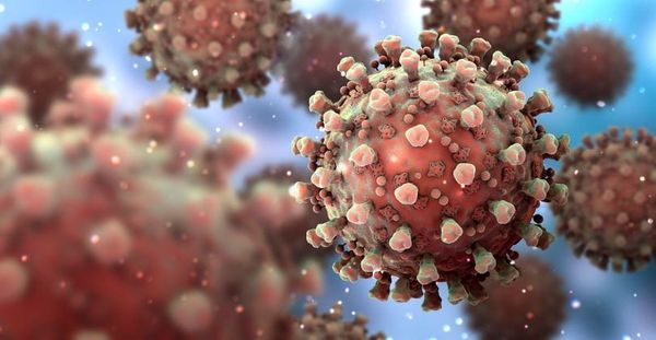 Les chercheurs de l’IHU de Marseille ont identifié un nouveau variant du SARS-CoV2