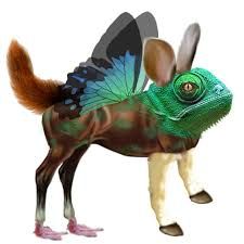 « Là où l’on brûle des livres, on finit toujours par brûler des hommes » (H. Heine). Le fascisme des étudiants gauchistes américains en action!