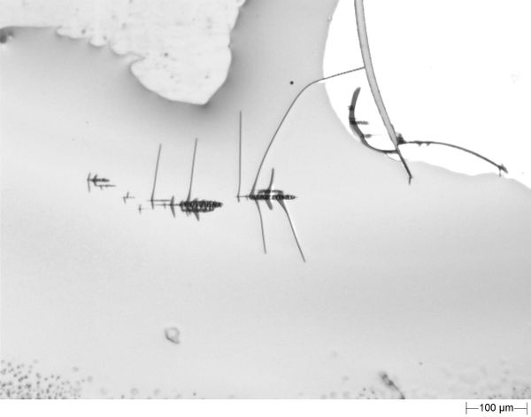 Aventin : l’oxyde de graphène dans les vaccins se retrouve dans le placenta 15 min après l’injection