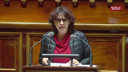 Mc Kinsey : le Sénat a-t-il intentionnellement noyé la mèche qui devait exploser ?