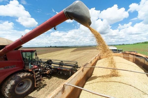 La Russie a-t-elle besoin d’un nouvel « accord sur les céréales » ? par Svpressa