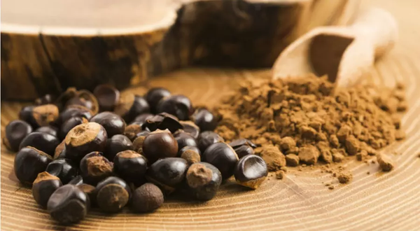 Le guarana, un super aliment qui regorge de vertus santé