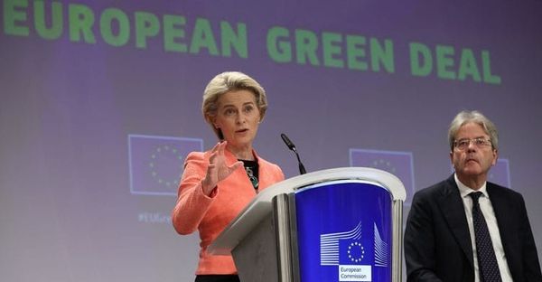 Europe, Ecologie : les Bruns ! par Modeste Schwartz