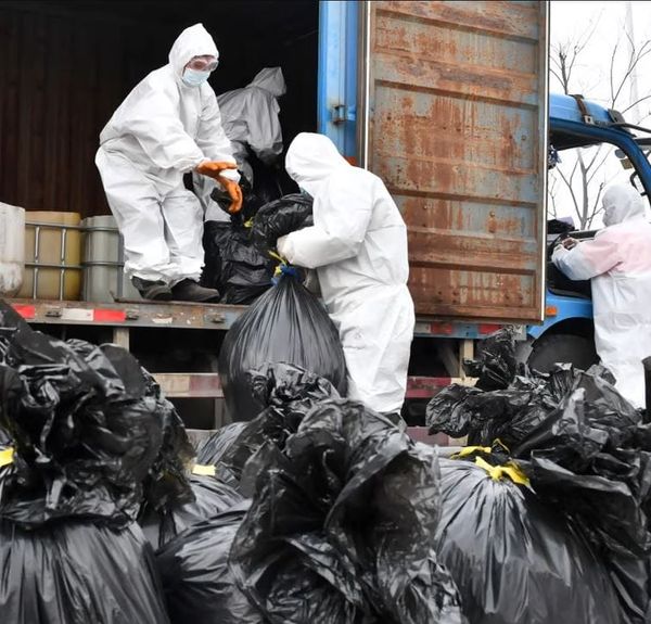 Le « zéro Covid »crée une grave pollution à Hongkong