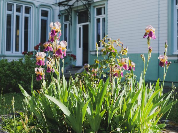 Sécession : nos nouveaux partenariats pour faciliter l’exode urbain et l’expatriation