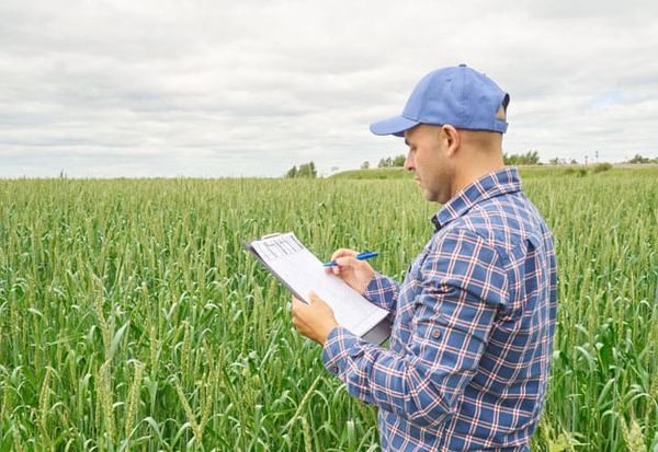 Les ingénieurs de AgroParisTech 2022 annoncent qu’ils bifurquent et veulent faire sécession de la mondialisation