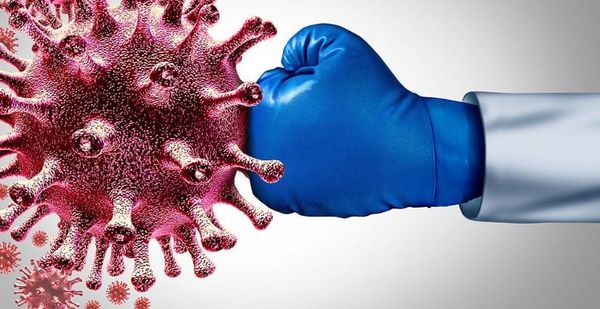 Une étude US tente de percer le mystère des personnes qui résistent au Covid