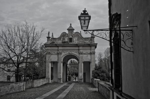 Le virus et la civilisation hallucinatoire