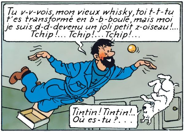 On vous présente le premier gouvernement en apesanteur –  par Edouard Husson