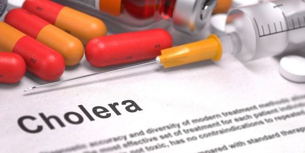 Quand une épidémie chasse l’autre