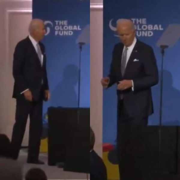 Les élections de mi-mandat aux États-Unis peuvent-elle changer la donne dans la guerre OTAN-Russie en Ukraine ? – par Dominique Delawarde