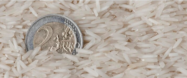 Faut-il et comment acheter des cryptomonnaies pour protéger son épargne ?