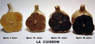 L’ail noir : un super-alicament au succès phénoménal mondial