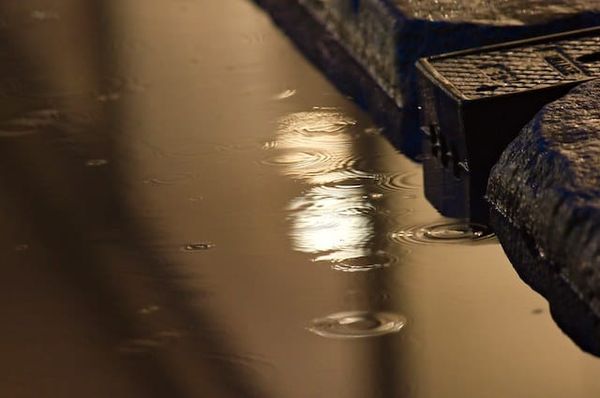 Virginia Woolf et le changement climatique, par Nicolas Bonnal