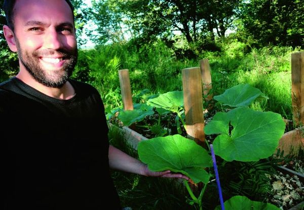 Comment mettre son patrimoine (et soi-même) à l’abri ? la tactique du « banc de poissons », par Elen B. KORIDWEN