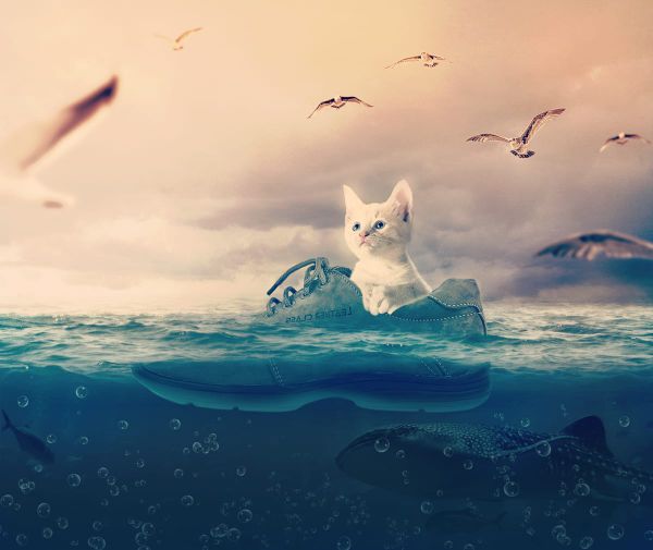 Les Républicains à bord du Ciottitanic?