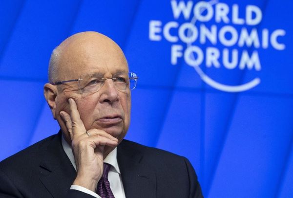 Que faire quand la pénétration de leur Great Reset nous fait mal ? par Modeste Schwartz