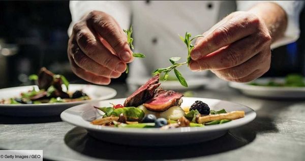 Victoire de Taste, ou défaite du goût ? par Modeste Schwartz