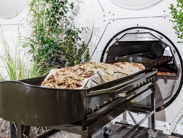 Novlangue : « l’humusation », nouveau nom de l’enterrement, par Modeste Schwartz