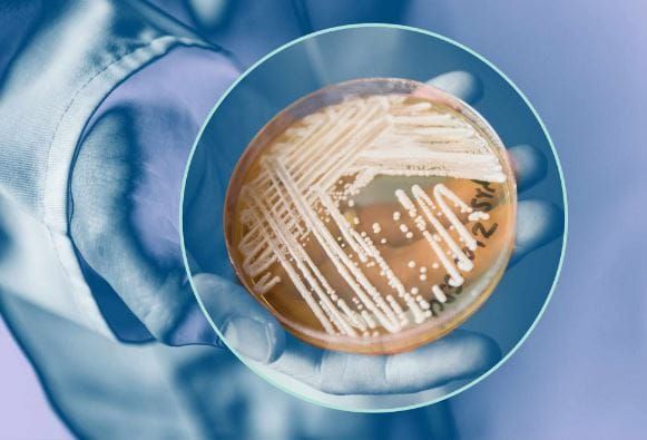 Discours alarmiste de la bureaucratie sanitaire sur une prochaine « pandémie »