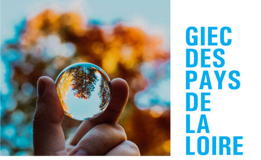 Le « Giec des Pays de la Loire » : papes d’Avignon du climatisme, par Modeste Schwartz