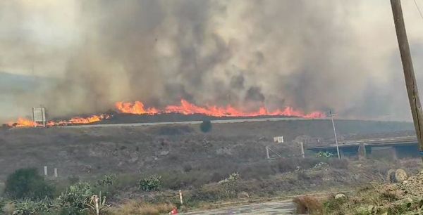 Cerbère/Madrid : Davos réduit notre empreinte carbone – par le feu, par Modeste Schwartz