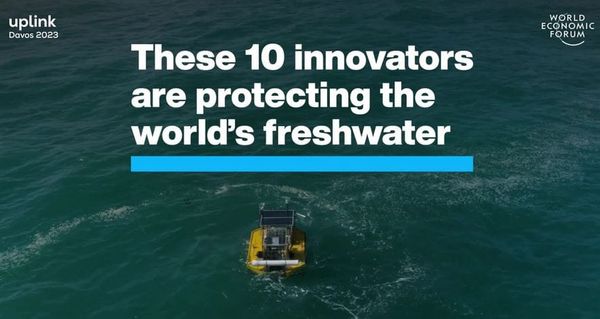 Great Reset : apprenons à vivre de jalousie et d’eau fraîche, par Modeste Schwartz