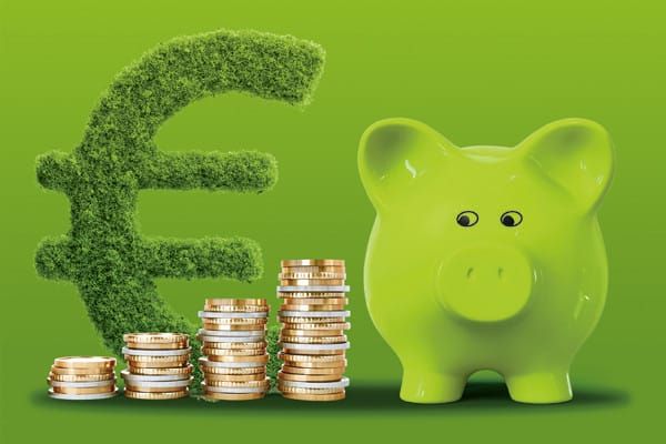 Après le renflement brun, la fiscalité verte: brève psychanalyse de Bruno Le Maire