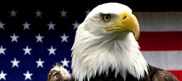 Pourquoi les Etats-Unis ont fait détruire le barrage de Nova Kakhovskaïa, par Alexandre N