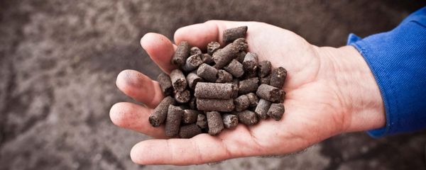 Écologie : Macron invente la planification sans calendrier