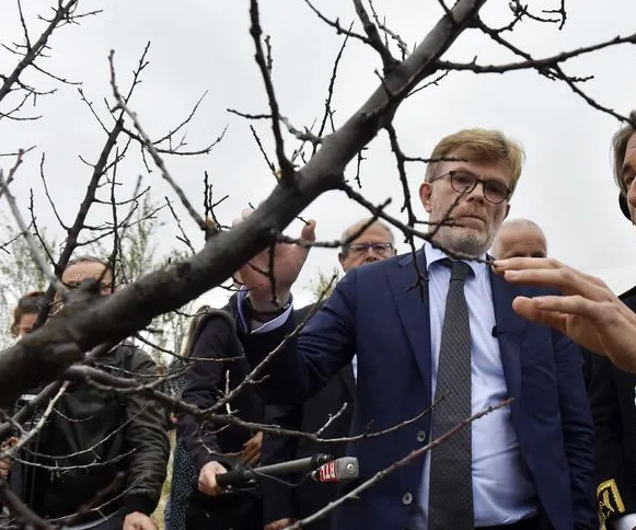 Entre deux séances de figuration, les ministres jouent dans des séries, par modeste Schwartz