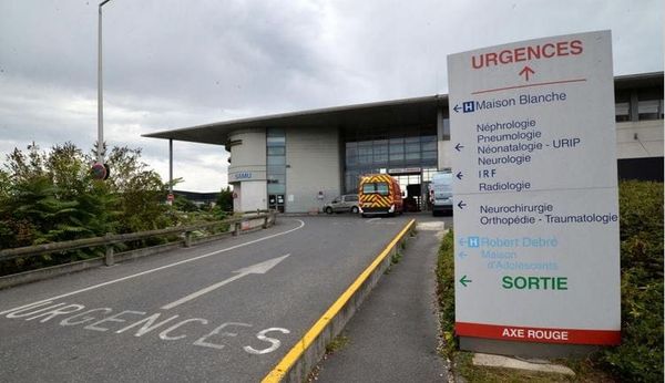 CHU de Reims : une femme atteinte de la rage décède