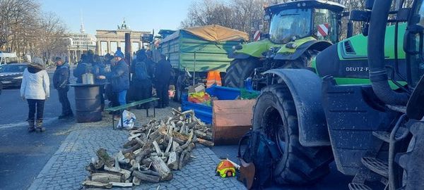 Ethnocide palestinien, diversion nazie en Allemagne, et autres nouvelles