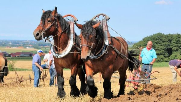 Un agriculteur envoie du lourd sur la mafia corporatiste agricole