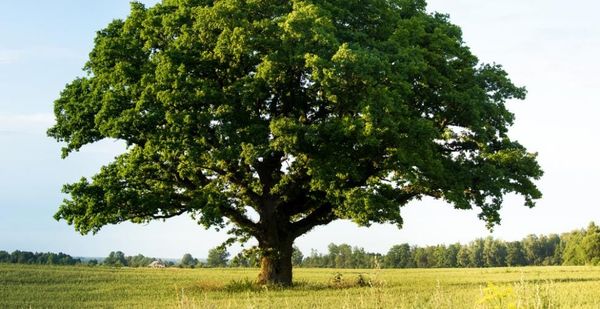 Merci à tous ceux qui nous ont aidé à réussir financièrement notre première année !