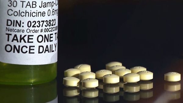 Efficacité probante de la colchicine contre les formes sévères du Covid, selon une étude