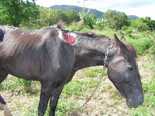 De moins en moins de Français paient l’impôt sur le revenu, mais ils paient de plus en plus…