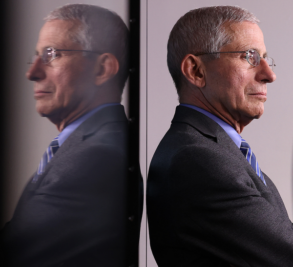 Origines COVID – USA : le Dr Fauci bientôt au banc des accusés ?