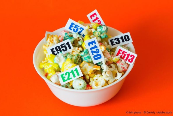 Aliments Ultra-transformés :  point sur les additifs – comment identifier les plus toxiques ? par Isabelle Hock