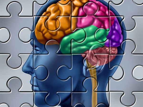 La compréhension comme moteur de l’Action, par Pol Quadens