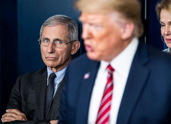 Gestion COVID : dos au mur, Fauci tacle Trump et défend l’hypothèse de la zoonose