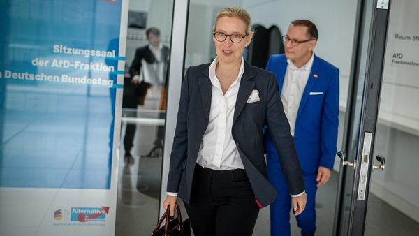 Les services secrets allemands donnent le feu vert pour démanteler l’AfD, par Ulrike Reisner